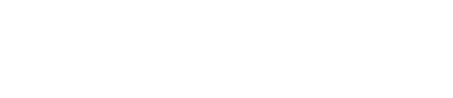 VELOR